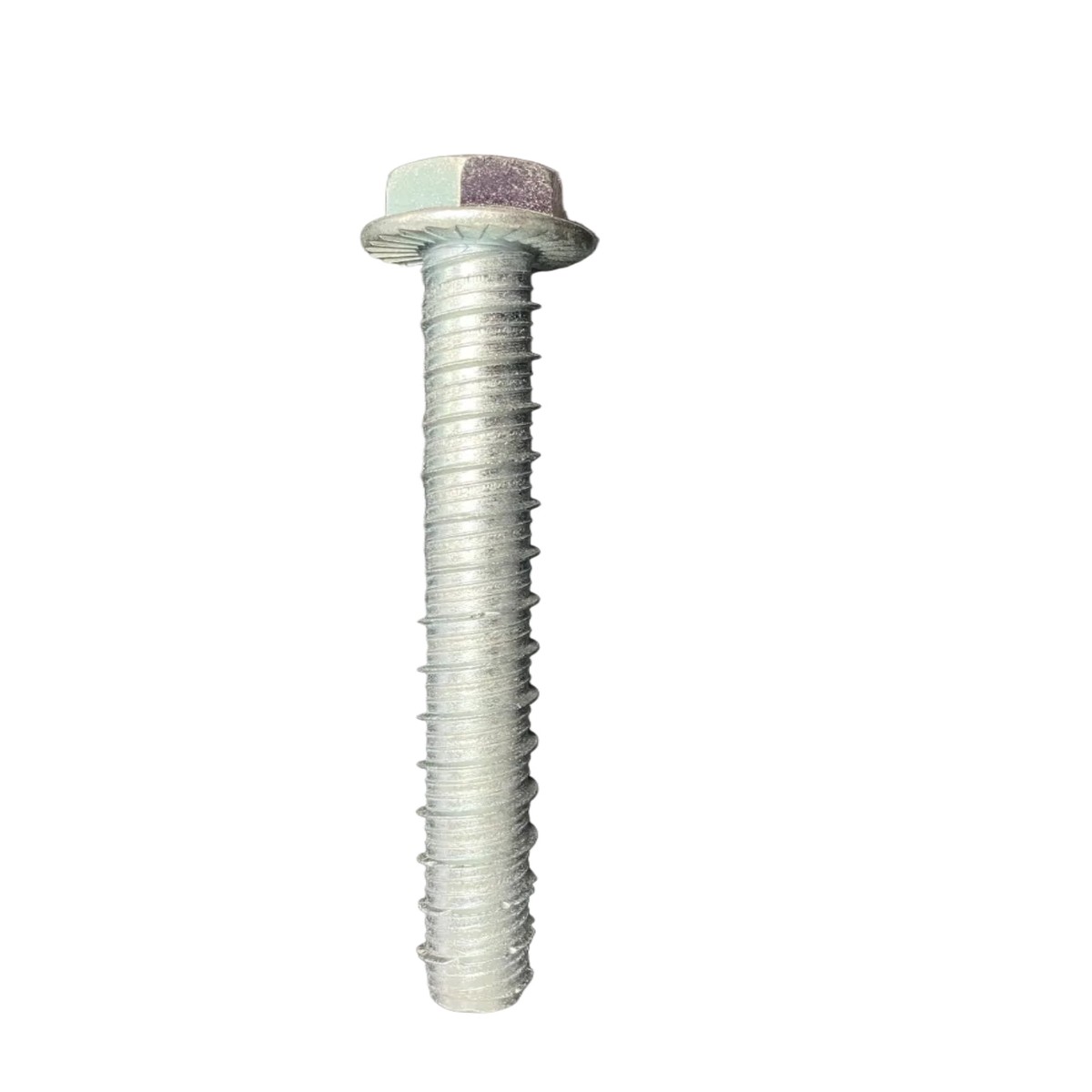 12 Stainless Steel Concrete Bolt (Sup-R) 5BoxOf300Bolts