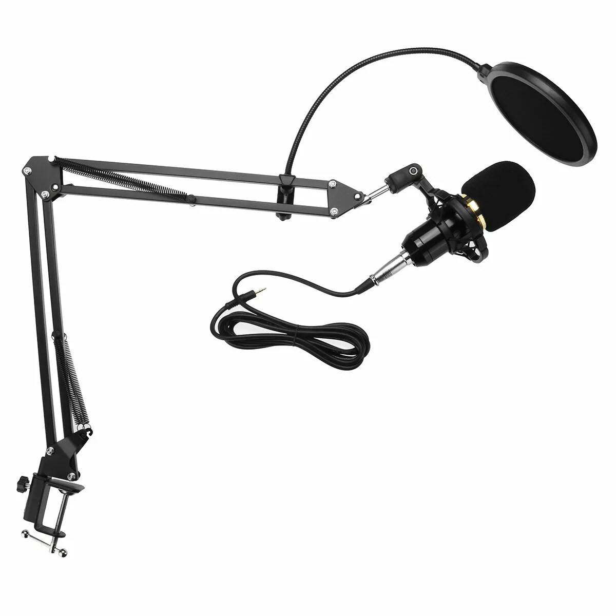 BM800 Microphone with Flexible Arm and Scissor Boom Stand