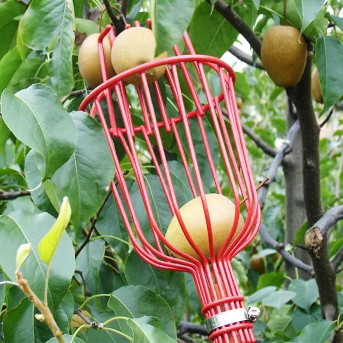 High-Quality Fruit Picking Tool 8211 Essential Gardening Equipment for Easier Harvesting