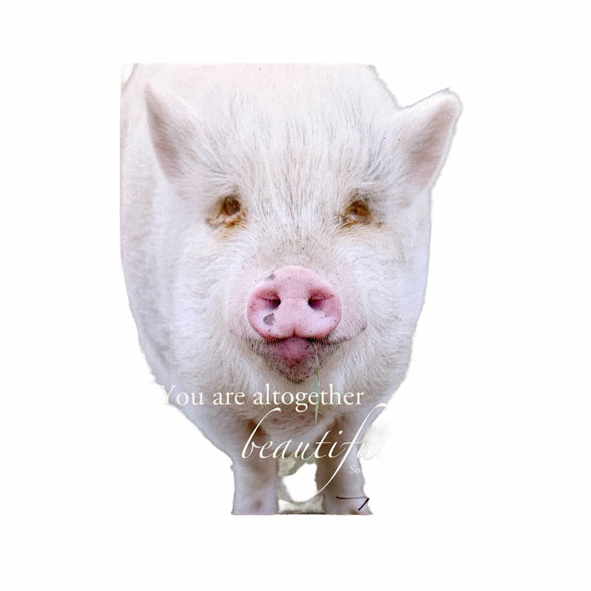Animal Deluxe Magnet With VerseQuote - Choose Design BeautifulPig