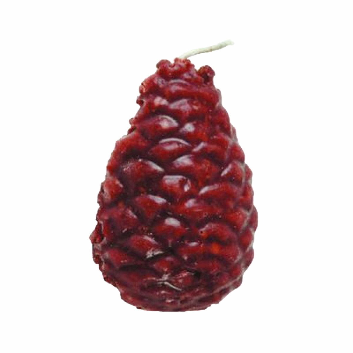Pine Cone Firestarters