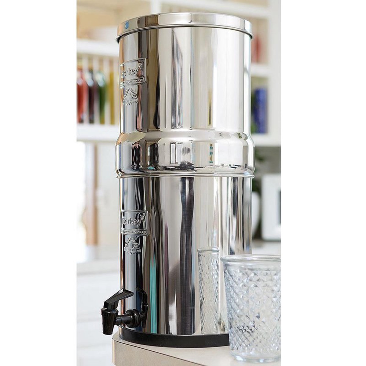Big Berkey With Black Berkey Elements - 225 Gal
