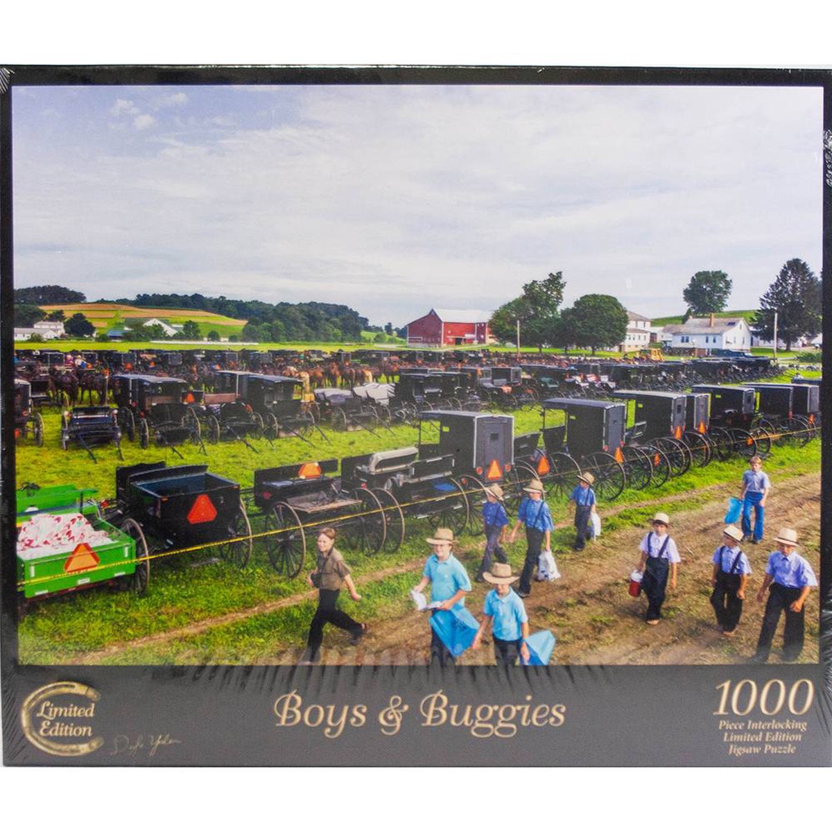Boys Buggies Jigsaw Puzzle - 1000 Pcs
